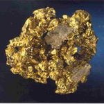 چه گیاهانی که طلا جذب می‌کنند؟ استخراج فلزات از گیاه سنگ فلز